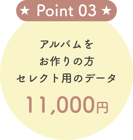 アルバムをお作りの方 セレクト用のデータ 11,000円